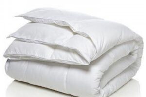 import placeholder for 2419