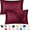 silk pillow case 2pcs set