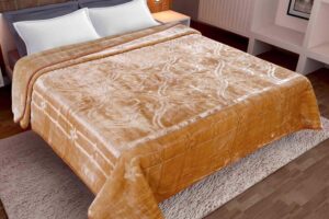 import placeholder for 1519