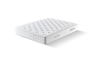 import placeholder for 2559