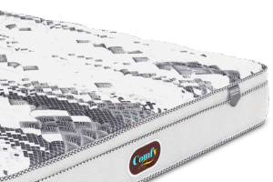 import placeholder for 1905