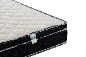 import placeholder for 559