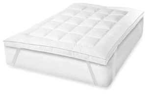 import placeholder for 2482