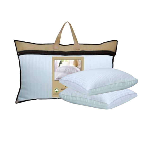 import placeholder for 911